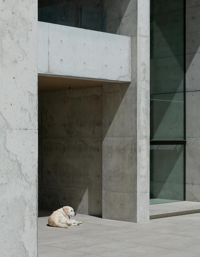 Image 228